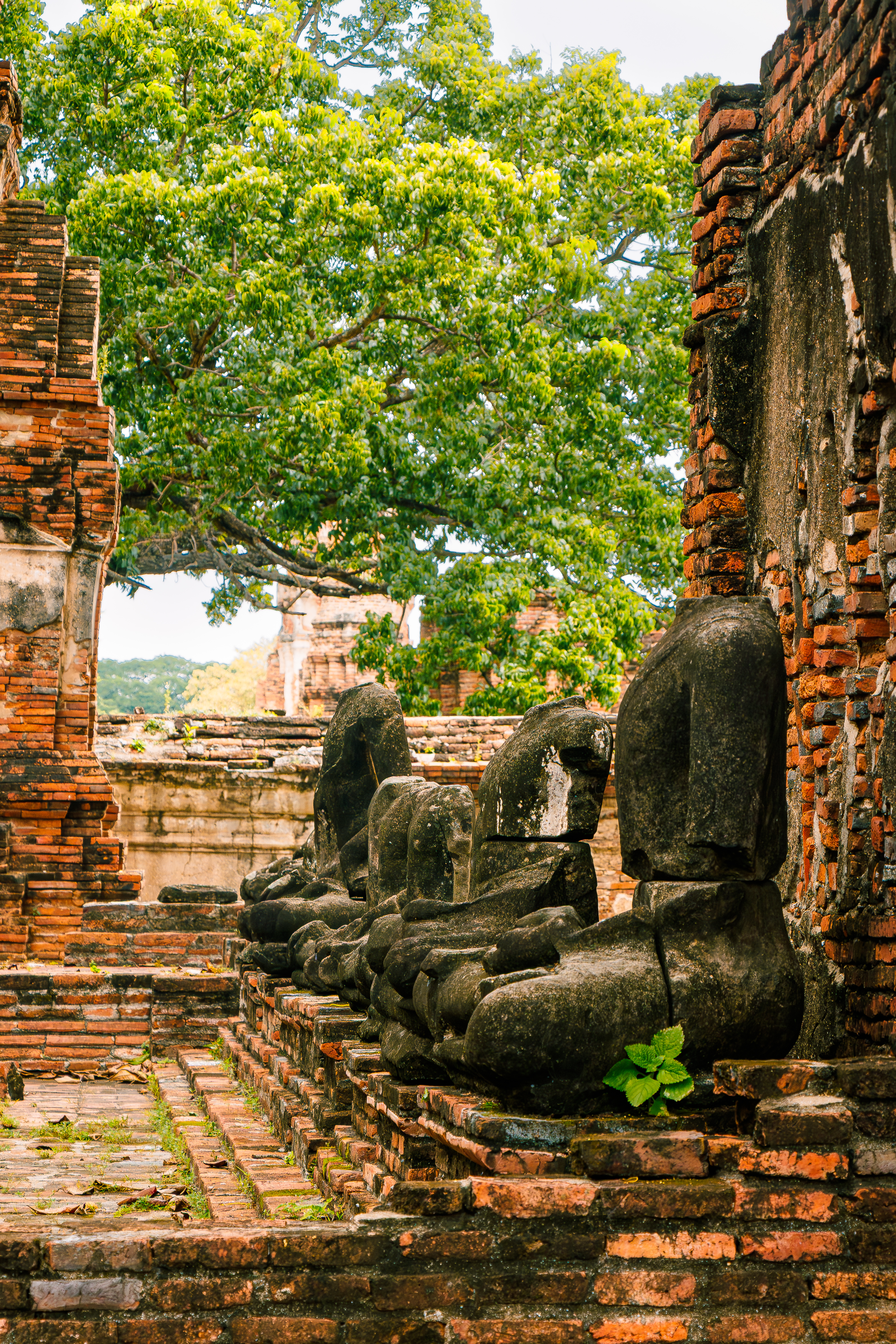 Photo de randonnée dans les Pyrénées, sur le chemin en direction du col des Sarradets. Vue sur le Pic de la Pahule et le Mont Mourgat.